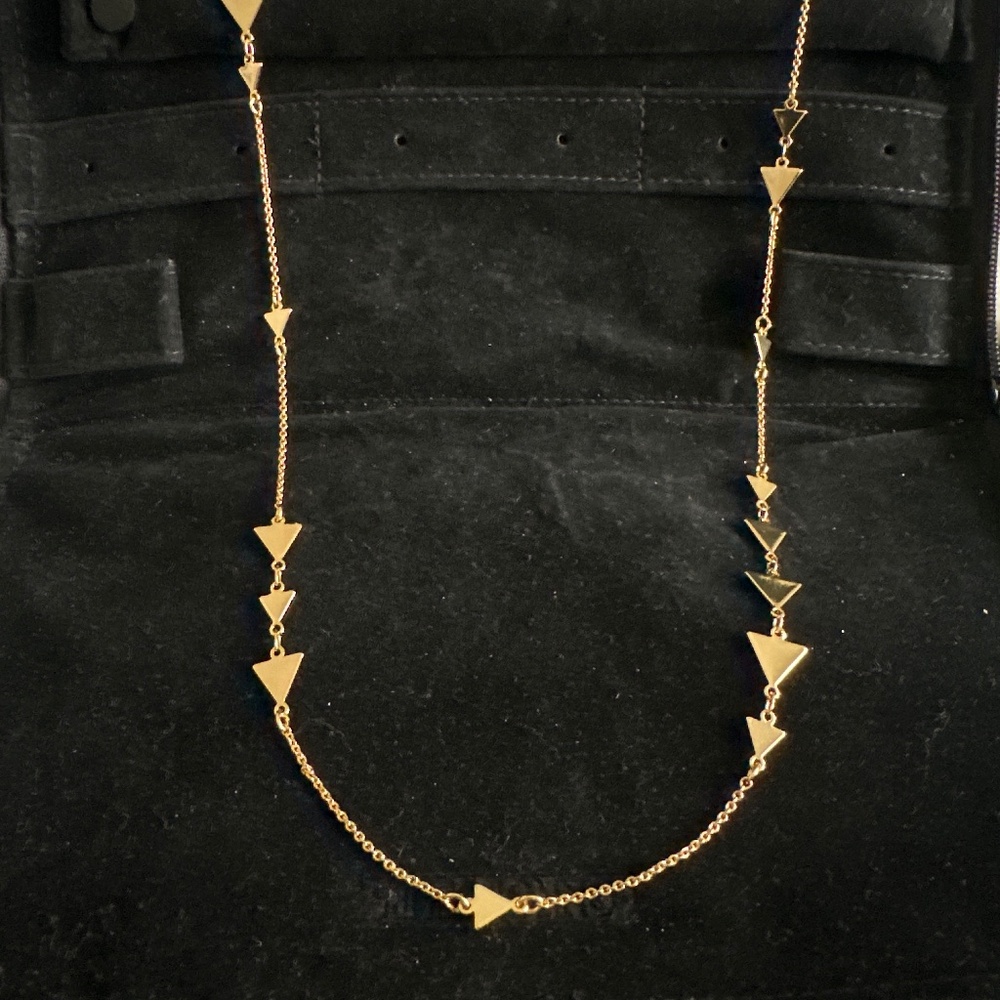 Stella & Dot Long Chain
